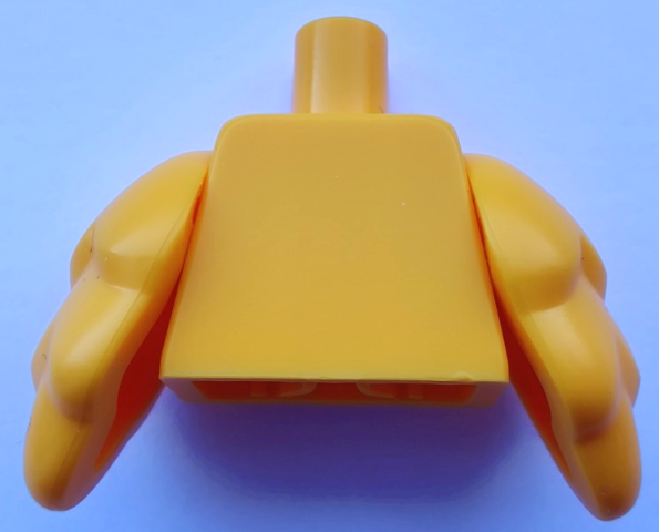 Torso Plain / Bright Light Orange Bird Wings (BAM)