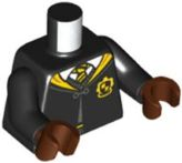 Torso Hogwarts Robe Clasped with Hufflepuff Crest, Sweater, Shirt and Tie Pattern / Black Arms / Reddish Brown Hands